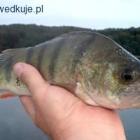 zdjęcie nr 9