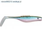 Fotka nr 2 z 3