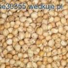 zdjęcie nr 2