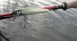 Minnow 9F