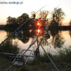 Fotka nr 2 z 18