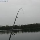 zdjęcie nr 4