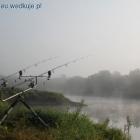 Fotka nr 4 z 18
