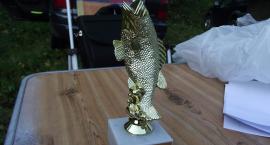 Statuetka dla zwycięzcy zawodów o największą rybę j. Chłodnego 07.10.12r. 