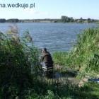 Fotka nr 4 z 40