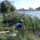 zdjęcie nr 10