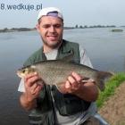 Medalowy Jaź 50cm.