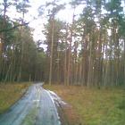 zdjęcie nr 50