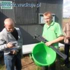 zdjęcie nr 44