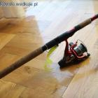 Fotka nr 4 z 8