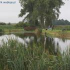 zdjęcie nr 11