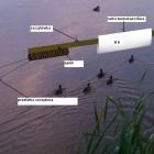 Fotka nr 1 z 13