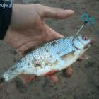 zdjęcie nr 7