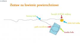 Fotka nr 0 z 2