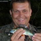 Ciekawa, skuteczna przynęta