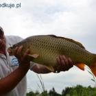 zdjęcie nr 19