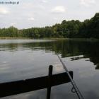 zdjęcie nr 7