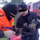 Fotka nr 1 z 2