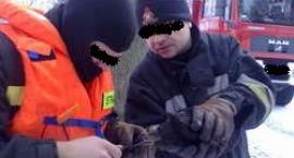 Fotka nr 0 z 2
