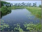 Wędkarze nad rzeką