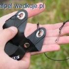 Fotka nr 1 z 3