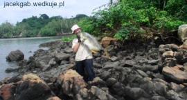 Karanks zoltopletwy 11 kg