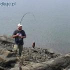 i drugi lucek na grunta