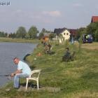 Fotka nr 4 z 16