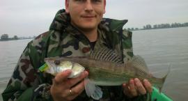 Pierwszy w tym roku:)