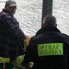 Fotka nr 2 z 6