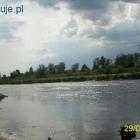 Nad Wartą