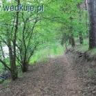 zdjęcie nr 7