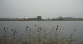 Fotka nr 0 z 28