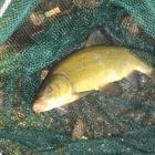 Fotka nr 2 z 6