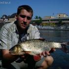 Jaź 40cm.