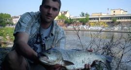 Boleń 76cm.