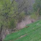 Fotka nr 3 z 10