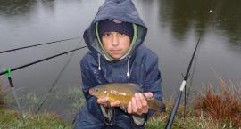 Linek 31 cm
