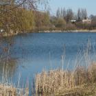 zdjęcie nr 8