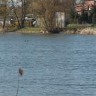 zdjęcie nr 12