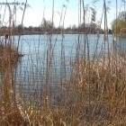 Widok od wschodniej strony