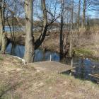 zdjęcie nr 16