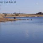zdjęcie nr 8