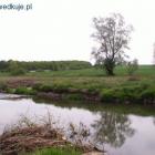 zdjęcie nr 13