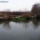 zdjęcie nr 10
