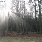 Fotka nr 2 z 17