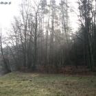 Fotka nr 1 z 17