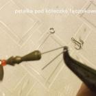 Fotka nr 5 z 9