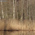 Piękny poranek w zatoce