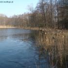 Wysoka temperatura i północno zachodni wiaterek dokonują dzieła zniszczenia